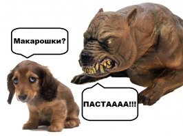 Слущай, что злой такой, как собака?
Может макарошек?