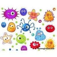 Раковина из жеоды - это круто!