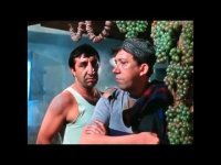 Российские ученые выяснили, как появилась корова