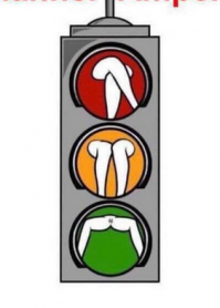 В Калининградской области установили светофор с котиками, но идея понравилась не всем