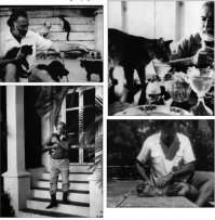 Это, что-  традиция такая в штатах?
Кто- нибудь пробовал пересчитать количество котов Э. Хемингуэя?