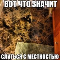 17 идеальных и неожиданных совпадений, в которые трудно поверить