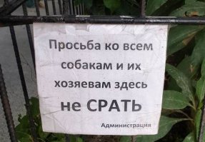 Кто хуже собачников