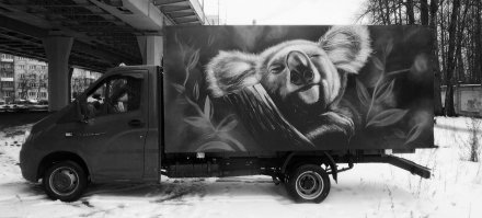 а с другой стороны коала