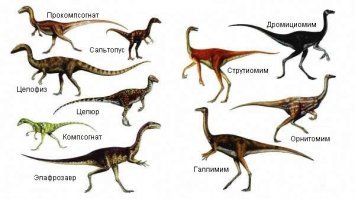 я бы сказал что это не новый вид а подвид .