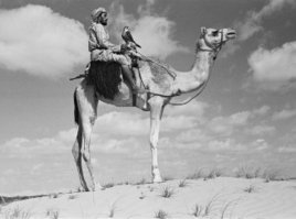 ОАЭ, когда закончиься нефть)