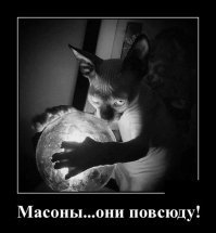 Образ кошки в демотиваторах
