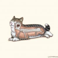 30 любопытных фото, показывающих внутренности вещей в разрезе