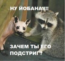 19 неординарных фото, которые заставят вас ахнуть от удивления