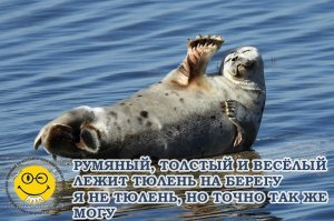 Прикольные и смешные картинки