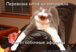 Образ кошки в демотиваторах