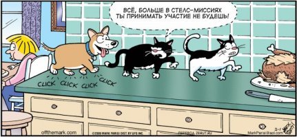 Образ кошки в демотиваторах