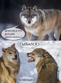 Картинки с надписями