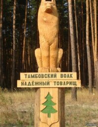 Прикольные и смешные картинки