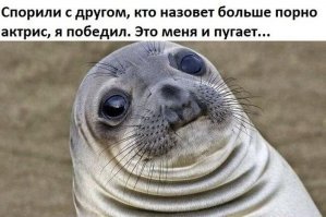 Гифки дня