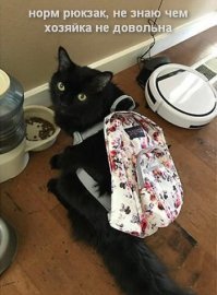 пока клиенты китайцев будут делать им одолжение в отзывах и рейтингах, маодзедунцы будут продолжать творить этот хаос:
"качество не очень, но мне сделали скидку поэтому 5 звезд"; "не пробовал, но на вид норм"; "полное г#вно, но поставлю пятерку" и пр.