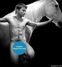 После того, как Рэдклифф сыграл в "Коне", я понял, что у него с мозгами полный привет. И за его творчеством больше не слежу.