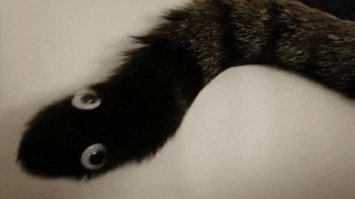 Вот этого вот "гения" придушил бы лично.