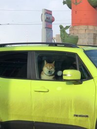 Удели внимание
Погуляй