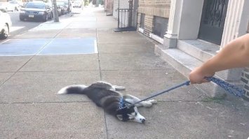 Картинки с надписями