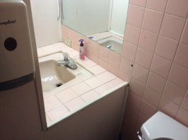 Такое в Казахстане видел, в Алма-Ате. Когда снимал там квартиру на время прибывания там, я еще удивлялся, где раковина что бы руки мыть? Но удивился я тогда еще больше, когда пришел в гости к местной жительнице (ради котой я и прилетел, познакомившийся по тогда еще популярной "аське"),там у нее в квартире так же кран был над ванной, но не было раковины, как и в той квартире, что я снимал.
Я воспользуясь случаем хочу спросить у Алма-Атинцев, это у всех так в Казахстане или случайно попались мне две квартиры с такими санузлами?