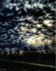 У половины обработка. про свою фотку я тоже могу сказать что ни капли фотошопа.