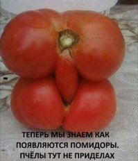 20 случаев, когда природа доказала, что победа будет за ней