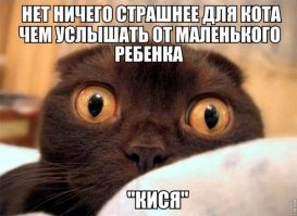 Картинки с надписями