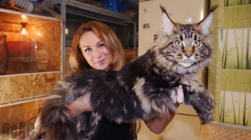 Такая сможет