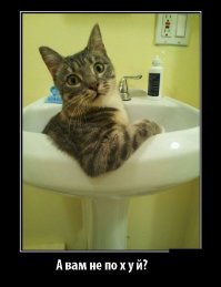 Актёры, которые радикально меняли своё тело для роли в кино