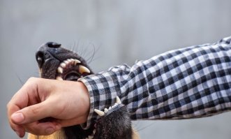 Чаще всё таки так... И мир иллюзий пропадает.