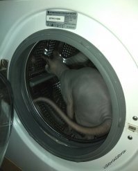 Надо было инструкцию соблюдать)))