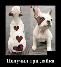 Вообще- то, четыре. ( я не зануда :))