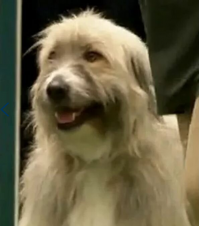 ТАК! СОБРАЛИСЬ! СНАЧАЛА ВПЕРЕД! ПОТОМ ПРЫЖОК! потом куда? А! ПОТОМ В ТРУБУ! ТОЧНО! а вылазить из нее сзади или спереди надо? А! ТОЧНО! СМОТРЯ КУДА ПОТОМ! а куда потом, кстати? А! ПОТОМ ПРЫЖОК! потом? что там было потом? может, опять в трубу? ТОЧНО! потом.. куда же еще потом там можно? может, потом пора уже домой? нет, чет рано.. А! ТАМ ЕЩЕ Ж ГОРКА СТОИТ! ТОЧНО! а зачем она, кстати? А! ЧТОБЫ ПОСМОТРЕТЬ, В КАКУЮ СТОРОНУ ДОМОЙ! ТОЧНО!