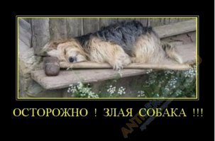 25 "злых" охранников которых никто не боится 