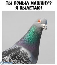 А управление предусмотрено?