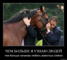 Очаровательные детёныши животных, которые вызовут улыбку