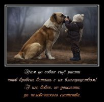 Очаровательные детёныши животных, которые вызовут улыбку