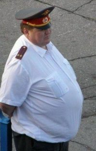 Нам бы такой лагерь