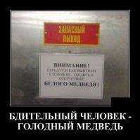 Передвижной отель в тундре: когда твои соседи - полярные медведи