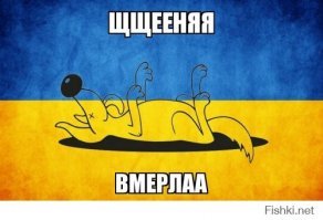 У нас,предателям памятники не ставят и факельные шествия в честь ублюдков из SS не проводят!
Мне надоело общаться с пустой кастрюлей с майдана!