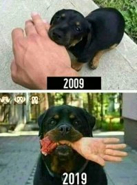 Прикольные и смешные картинки