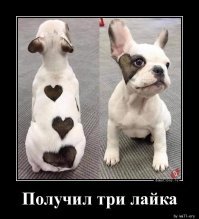 4 лайка)))