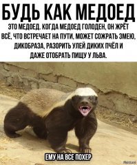 8 удивительных существ нашей планеты, которые приводят в недоумение даже ученых