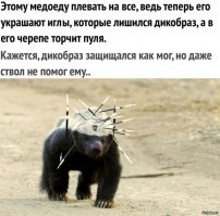 8 удивительных существ нашей планеты, которые приводят в недоумение даже ученых