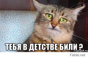 NASA сообщило о приближении к Земле крупного астероида