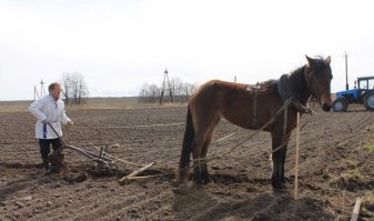 Дети неразумные. В какие скандалы попадают наследники президентов экс-СССР?
