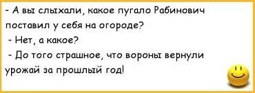 Прикольные и смешные картинки