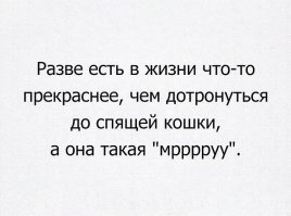 Свежая подборка демотиваторов, которые поднимут вам настроение