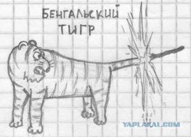 банально всё. для школьников. на уровне "пацаны скидываются на бухло". да и рисует так себе. пусть лучше дальше программирует.